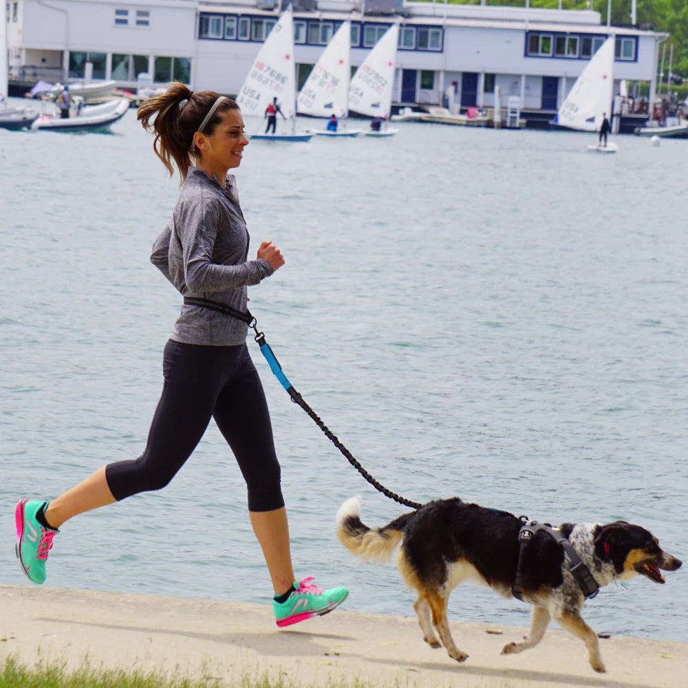 Hands-Free Dog Leash NZ | Adjustable Waist Belt & Chest Strap for Running, Walking & Jogging with Pets