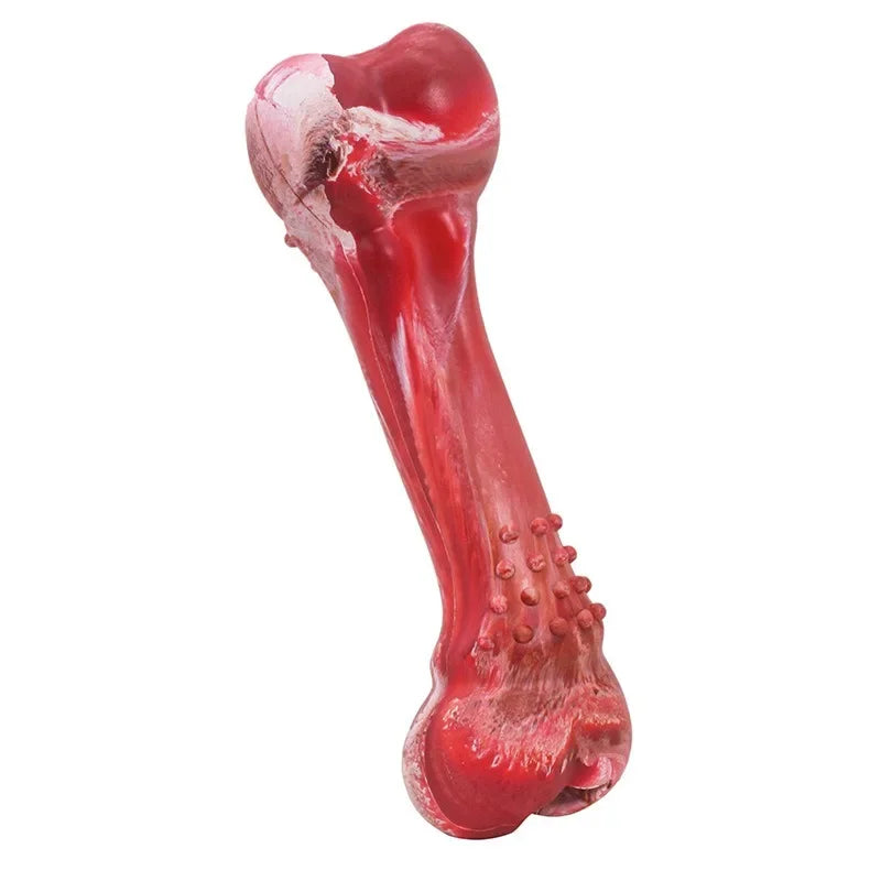 Funny Dog Chew Toy NZ | Realistic Bone-Shaped Rubber Toy with Food Holder & Toothbrush Cleaner – PawNest
