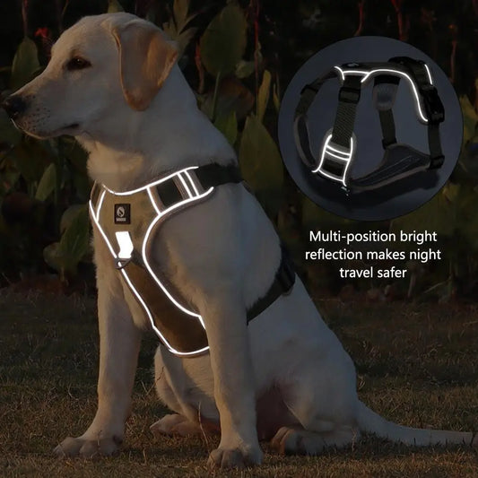 Reflective Labrador Dog Harness NZ | Adjustable Oxford Cloth Vest for Medium & Large Dogs – PawNest
