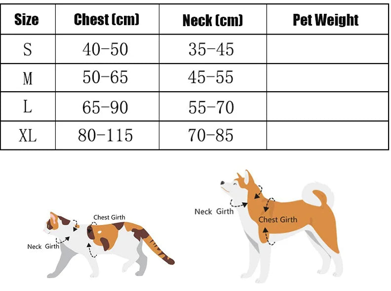 No-Pull Reflective Dog Harness NZ | Breathable Adjustable Vest for Outdoor Walking – PawNest