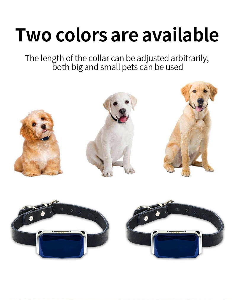 G12 GPS Smart Pet Collar NZ | Waterproof Anti-Lost Tracker for Pets, Kids & Elderly – PawNest