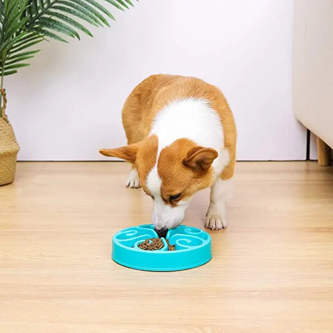 Eco-Friendly Slow Feeder Dog Bowl NZ | Non-Slip Anti-Gulping Slow Feeding Bowl for Large, Medium & Small Dogs – PawNest