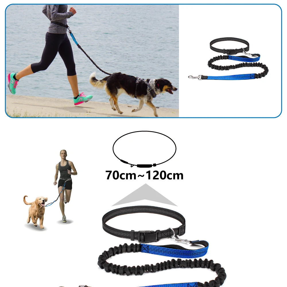 Hands-Free Dog Leash NZ | Adjustable Waist Belt & Chest Strap for Running, Walking & Jogging with Pets