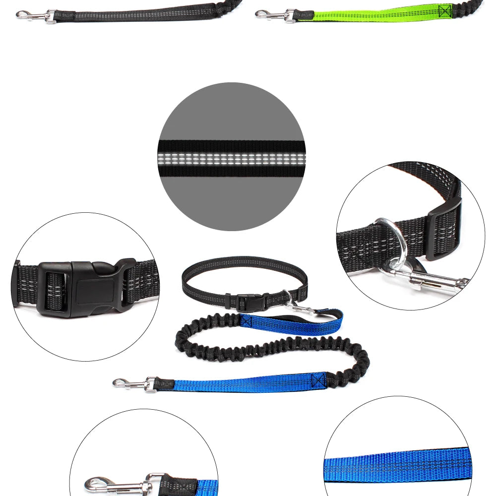 Hands-Free Dog Leash NZ | Adjustable Waist Belt & Chest Strap for Running, Walking & Jogging with Pets