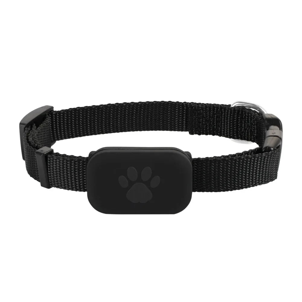 Mini Bluetooth GPS Pet Tracker NZ | Anti-Lost Collar with Movement Alerts & Global Locator for Cats & Puppies – PawNest