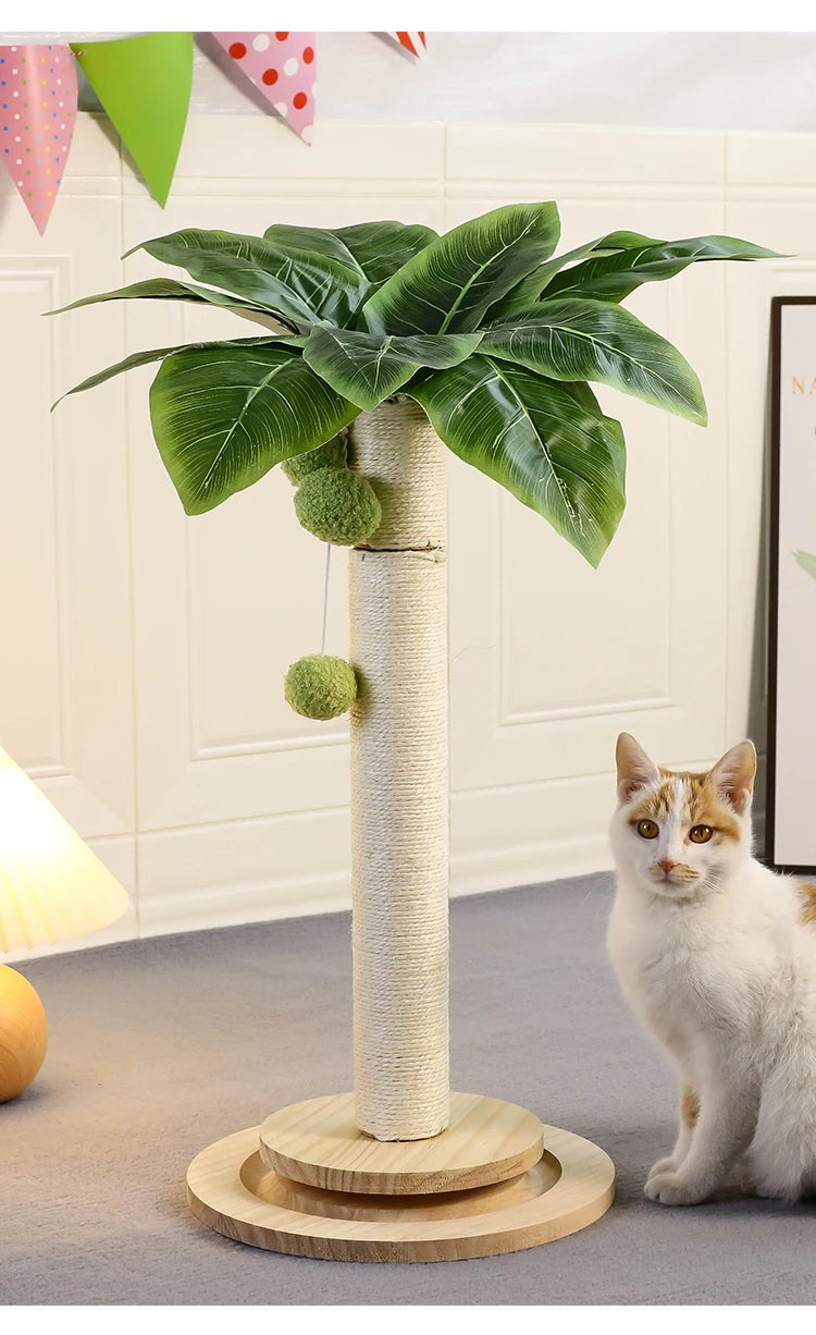 Cat Scratching Post NZ | Natural Sisal Rope Post with Hanging Balls & Wooden Track Toy – PawNest