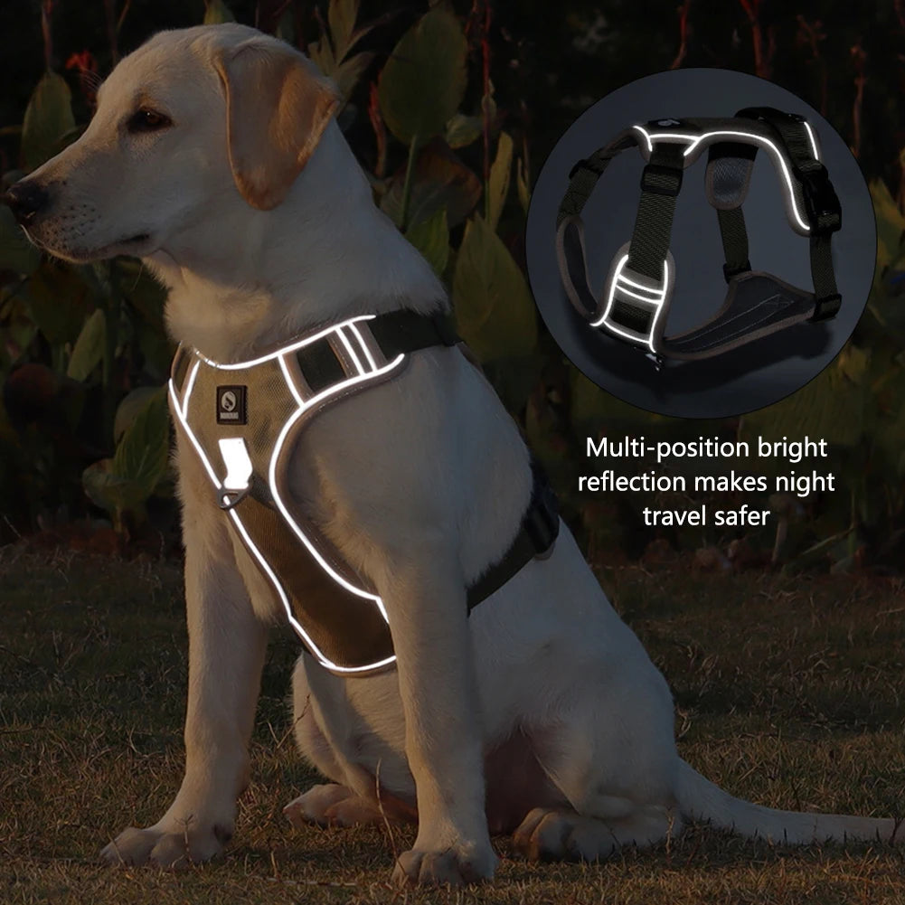 Reflective Labrador Dog Harness NZ | Adjustable Oxford Cloth Vest for Medium & Large Dogs – PawNest