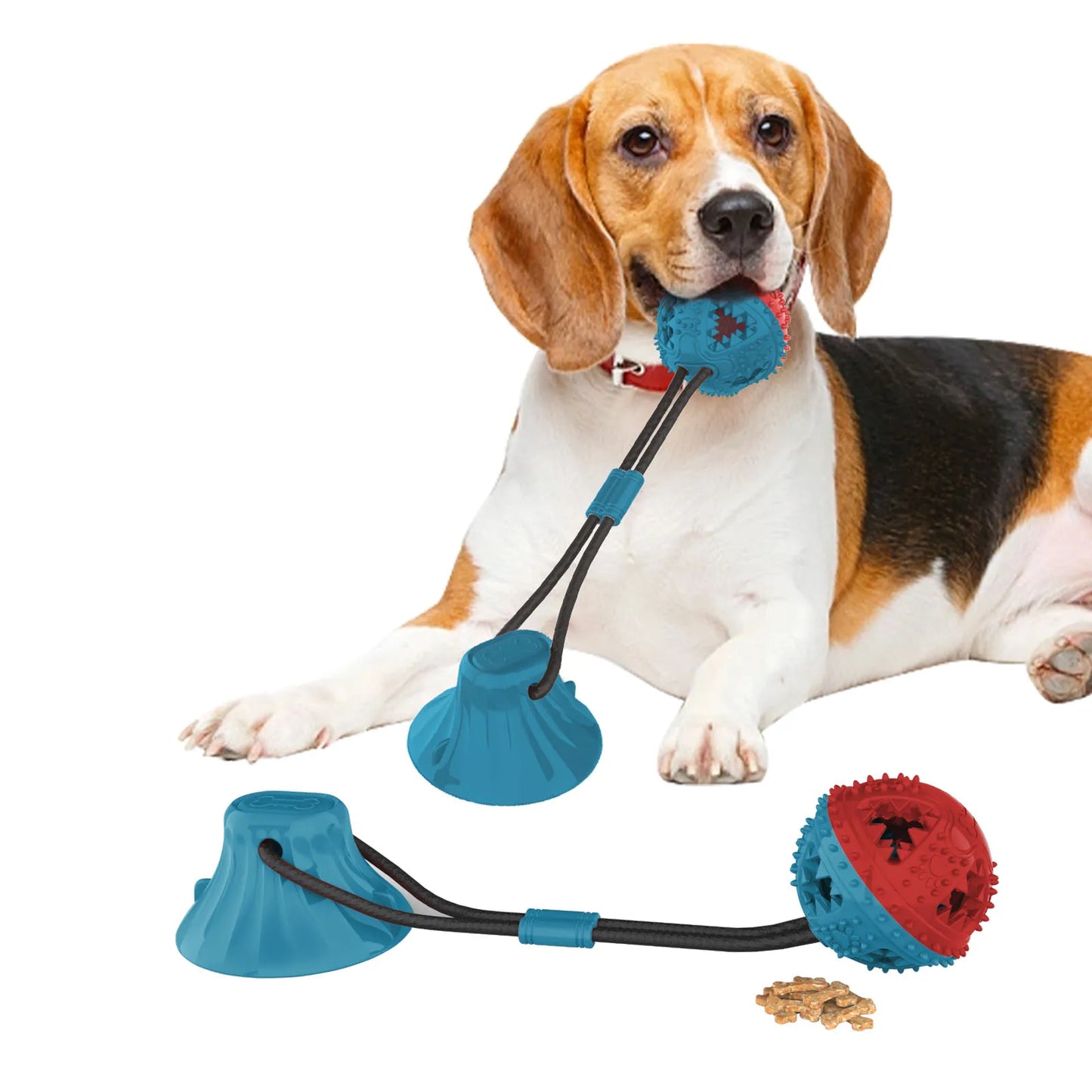 Dog Chew Toy Balls NZ | Rubber Teeth Cleaning & Treat Dispensing Balls for Dogs & Cats – PawNest