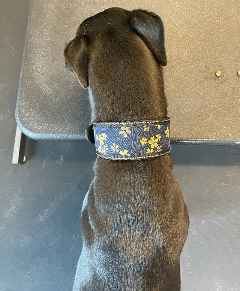 Fashion Reflective Big Dog Collar – Adjustable for All Sizes