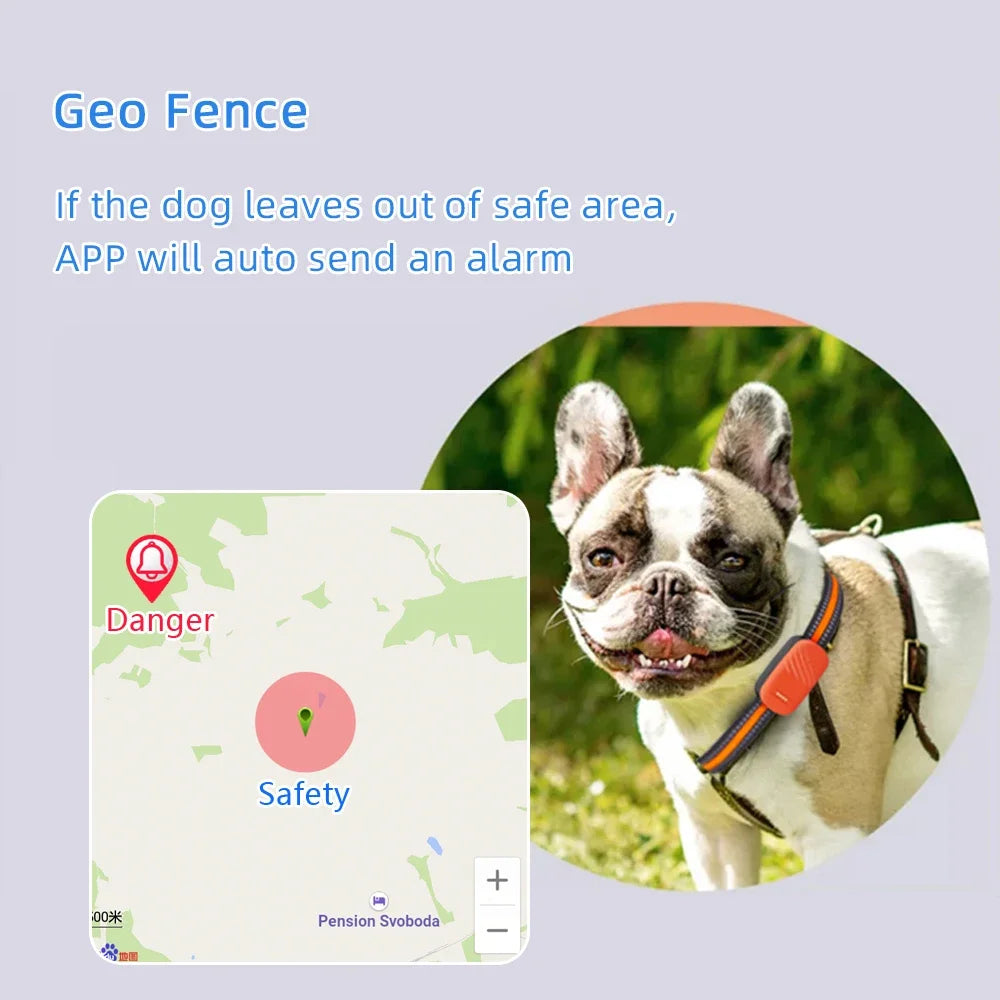 Smart 4G Mini GPS Pet Tracker NZ | Waterproof Real-Time Remote Control Tracker for Cats & Dogs – PawNest