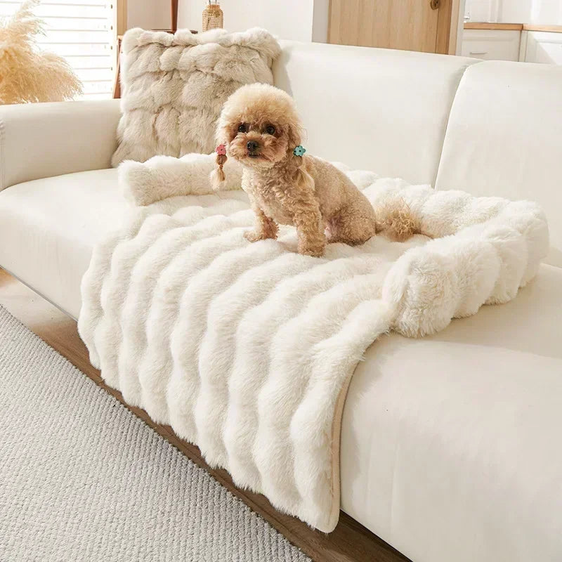 Square Winter Soft Pet Bed NZ | Warm Plush Dog & Cat Sofa with Neck Pillow – PawNest