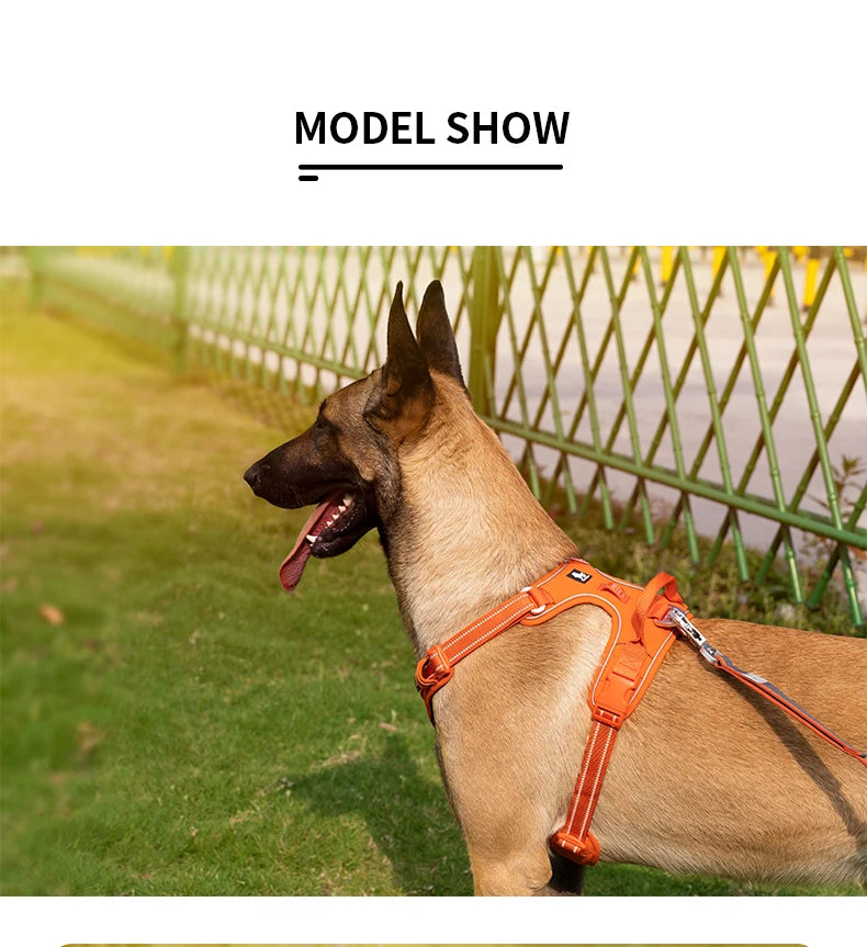 TrueLove No-Pull Reflective Dog Harness NZ | Adjustable & Comfortable Fit – PawNest