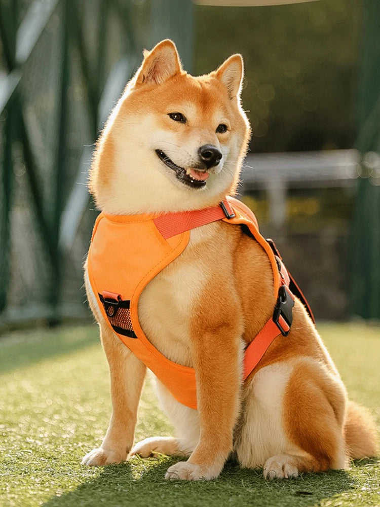 Breathable Explosion-Proof Dog Harness NZ | Adjustable Vest for Medium & Large Dogs Outdoor Training – PawNest