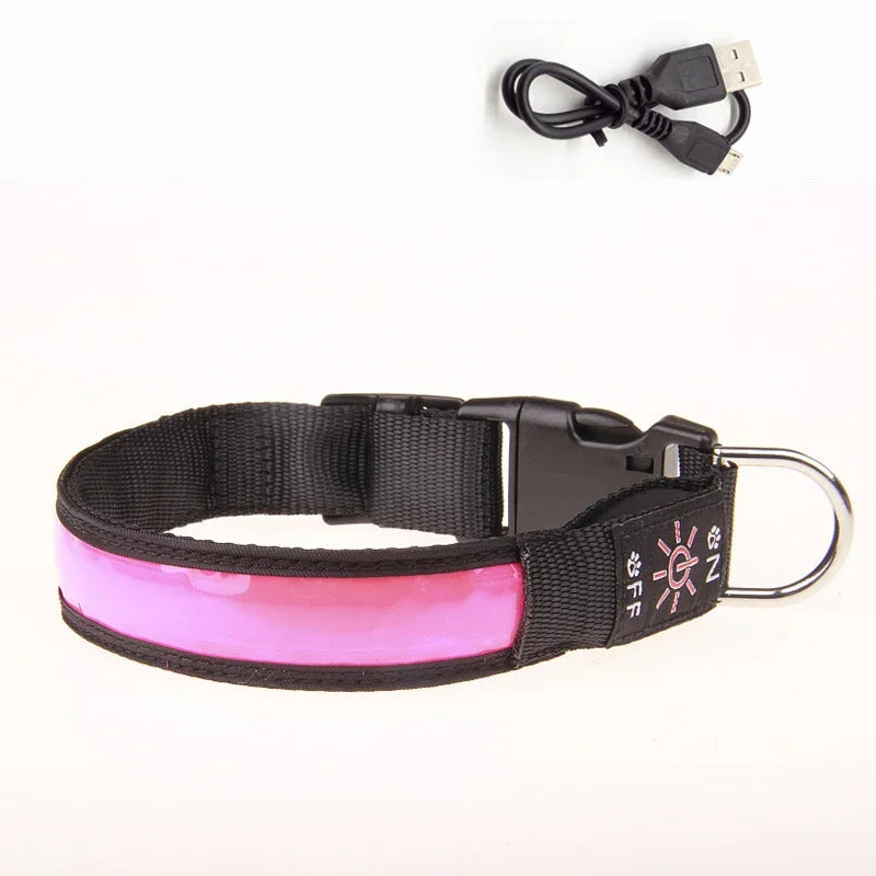 LED Glowing Dog Collar – USB Rechargeable Flashing Light