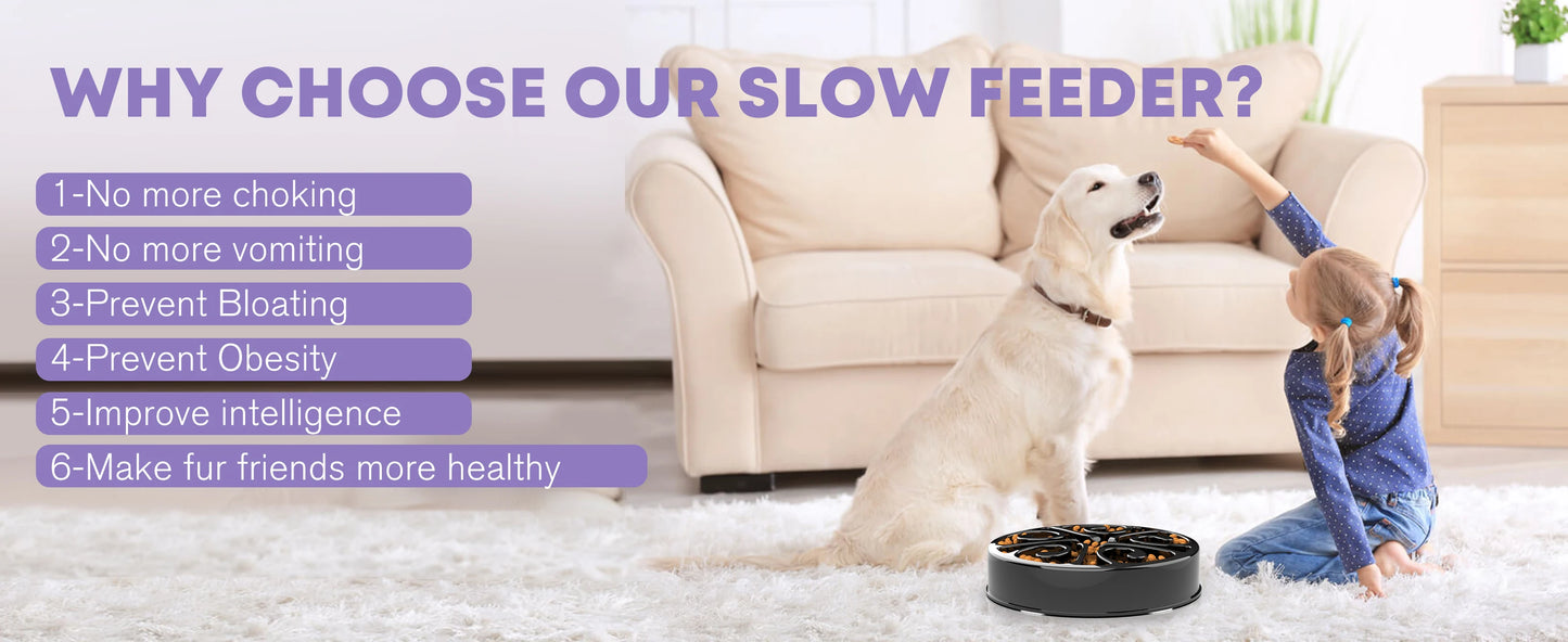 Eco-Friendly Slow Feeder Dog Bowl NZ | Non-Slip, Anti-Gulping Fun Feeding Bowl for All Dog Sizes – PawNest