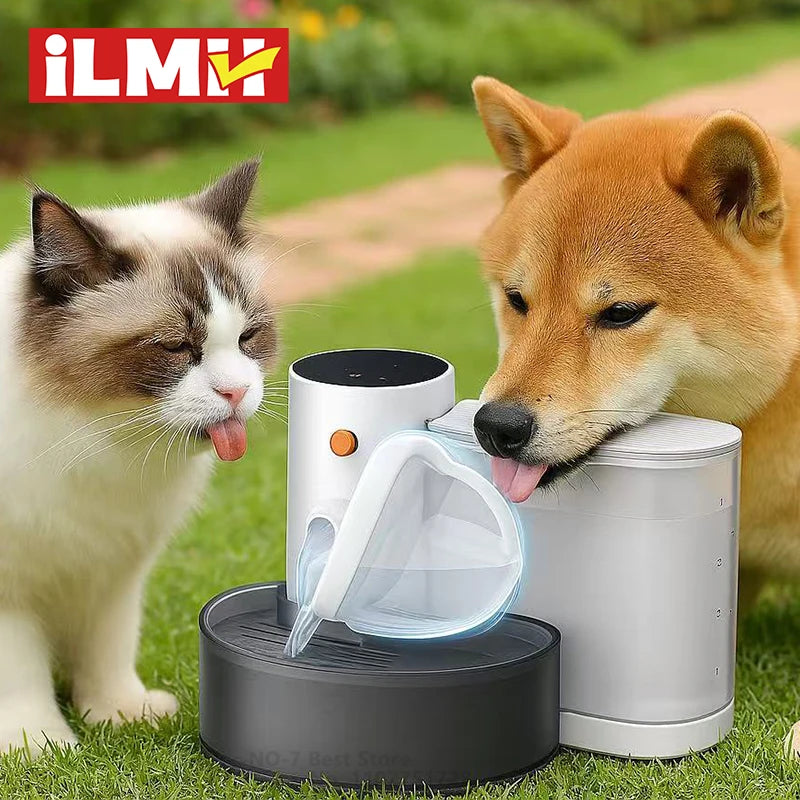 Wireless Rechargeable Cat Water Fountain NZ | Filter-Free Automatic Pet Drinker – PawNest