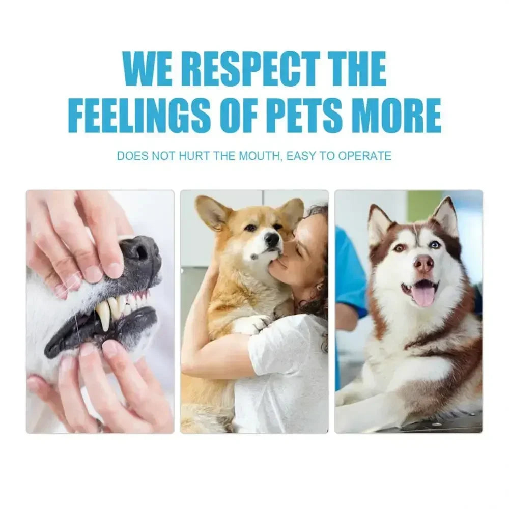 Pet Toothpaste NZ – 60g Tartar & Breath Cleaner for Cats & Dogs | PawNest