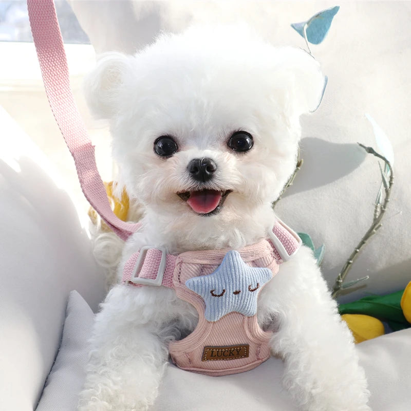 Fashion Adjustable Dog Harness NZ | Small & Medium Dog Chest Strap Vest for Walking – PawNest