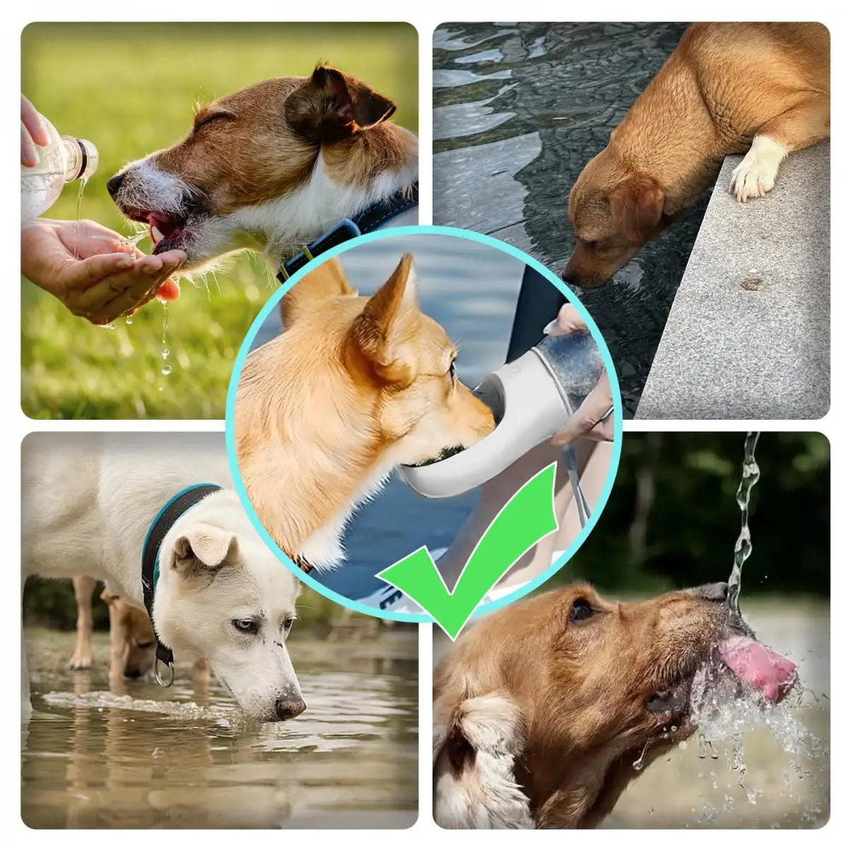 300ml Portable Dog Water Bottle – Leakproof Pet Travel Feeder