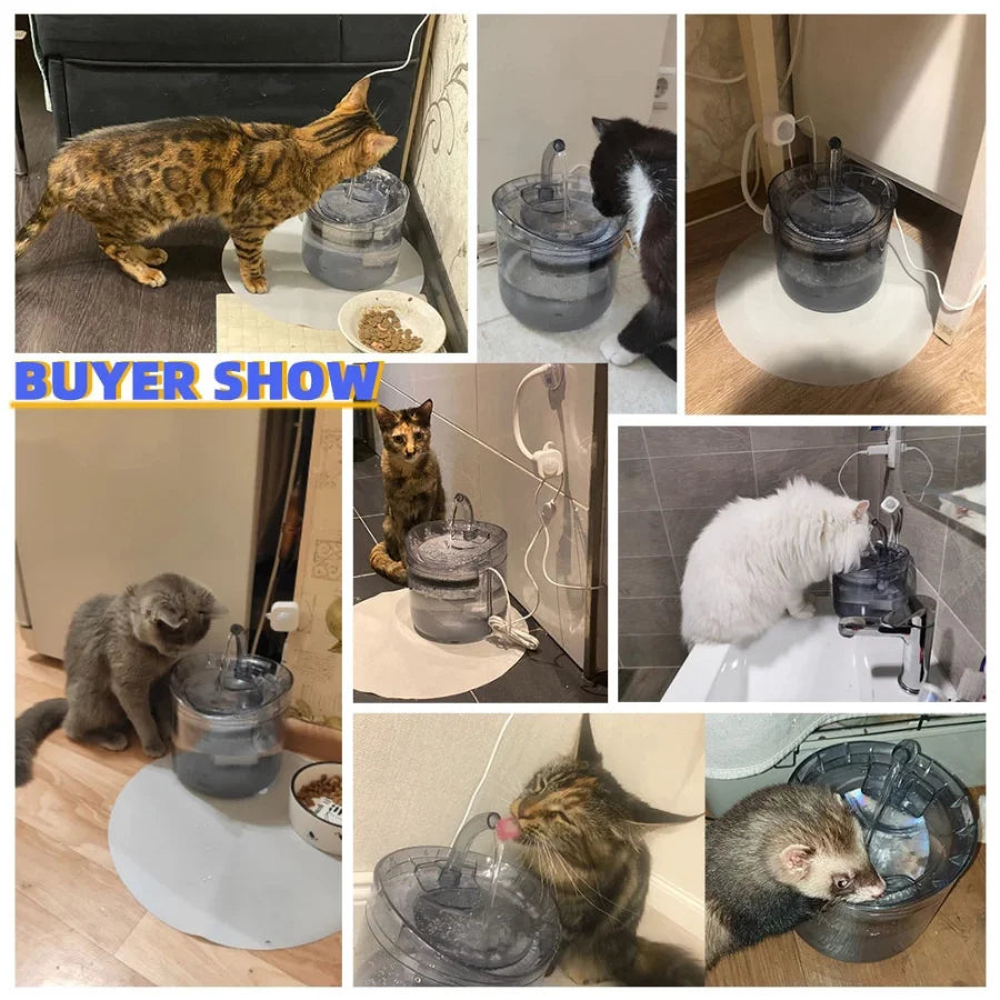 Automatic Pet Water Dispenser NZ | Sensor-Activated Circulating Fountain with Filter – PawNestn pet drinking water