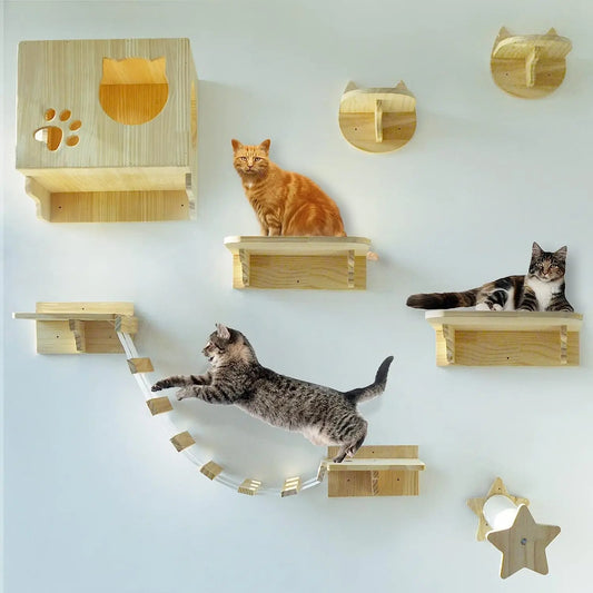 Cat Climbing Shelf Furniture NZ | Wall-Mounted Wooden Cat Shelves & Scratching Perches – PawNest