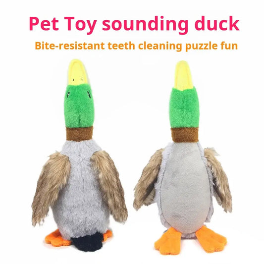 Mini Plush Squeaky Dog Toy NZ | Durable Chew Toy for Small & Medium Dogs and Cats – PawNest
