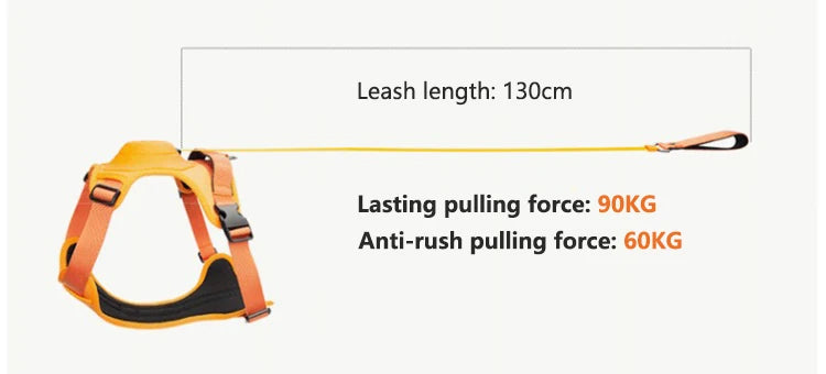 Breathable Explosion-Proof Dog Harness NZ | Adjustable Vest for Medium & Large Dogs Outdoor Training – PawNest