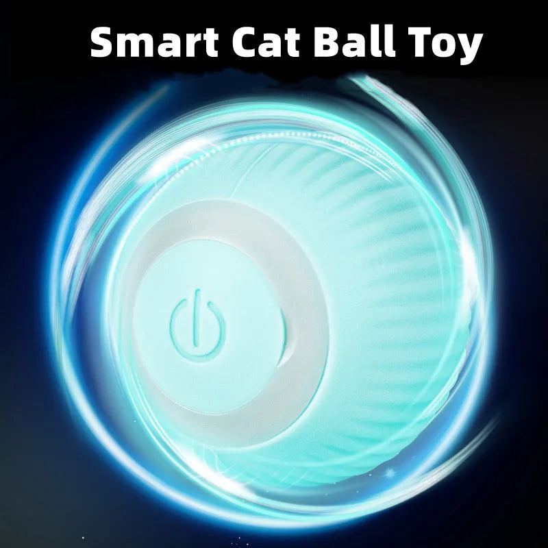 Electric Rolling Cat Ball Toy – Smart Interactive Cat Toy NZ | PawNest