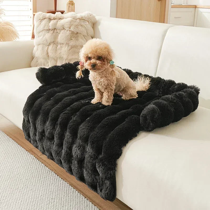 Square Winter Soft Pet Bed NZ | Warm Plush Dog & Cat Sofa with Neck Pillow – PawNest