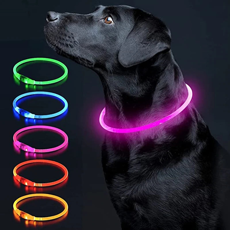 Luminous Dog Collar Light – USB Rechargeable LED Safety Collar