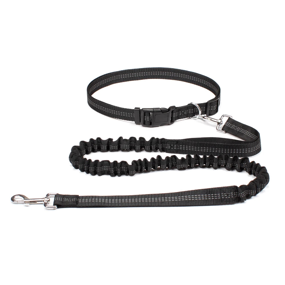 Hands-Free Dog Leash NZ | Adjustable Waist Belt & Chest Strap for Running, Walking & Jogging with Pets