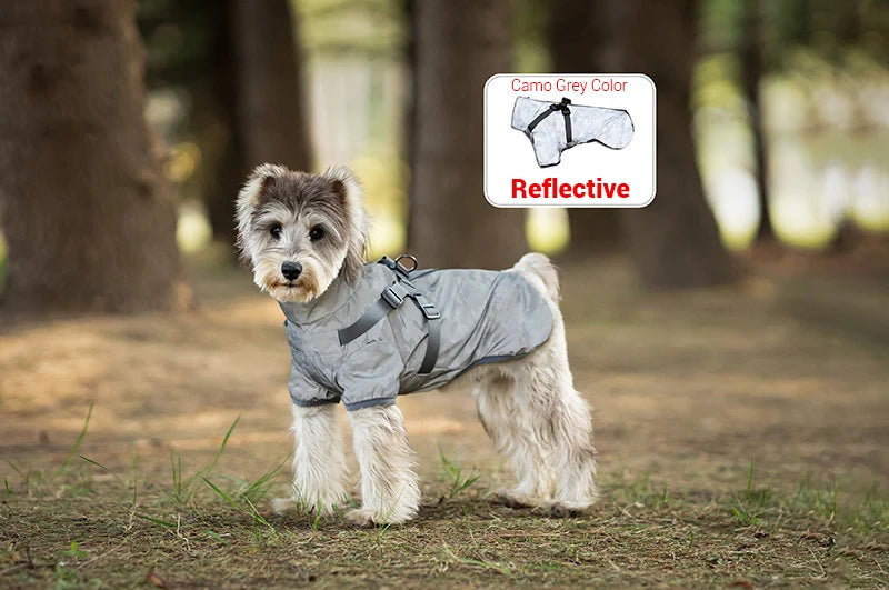 Reflective Waterproof Dog Raincoat NZ | Outdoor Spring Hoodie for Small & Medium Dogs – PawNest