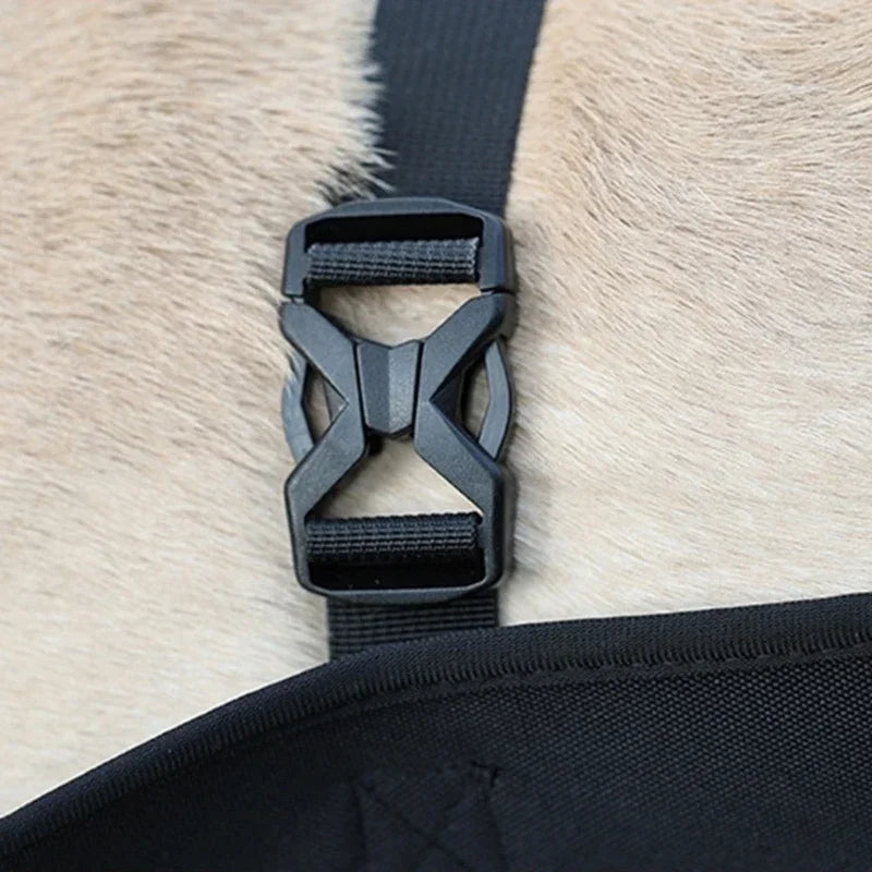 Dog Lift Harness NZ | Full-Body Support Sling for Large Elderly, Injured & Disabled Dogs – PawNest