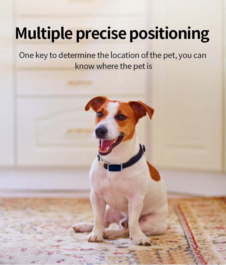 G12 GPS Smart Pet Collar NZ | Waterproof Anti-Lost Tracker for Pets, Kids & Elderly – PawNest