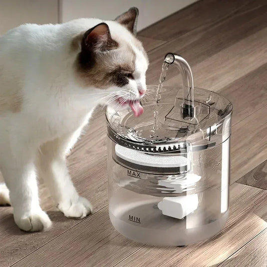Automatic Pet Water Dispenser NZ | Sensor-Activated Circulating Fountain with Filter – PawNestn pet drinking water