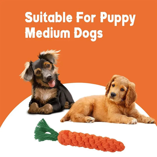 Cartoon Animal Dog Chew Toys NZ | Durable Braided Bite-Resistant Puppy Molar Cleaner – PawNestotton Rope Toy