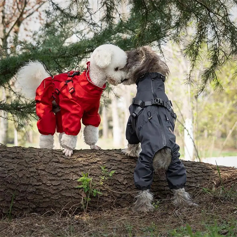 Waterproof Dog Raincoat with Harness NZ | Reflective Adjustable Jumpsuit for Small & Medium Dogs – PawNest