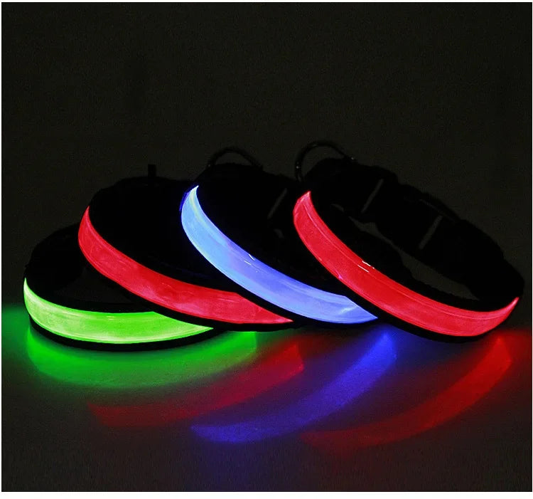 LED Glowing Dog Collar – USB Rechargeable Flashing Light