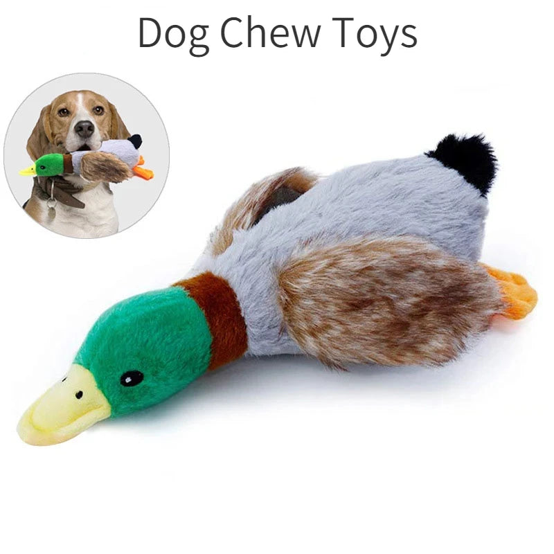 Dog Chew Toy Plush Duck NZ | Squeaky Sound Toy for Teeth Cleaning & Interactive Play – PawNest