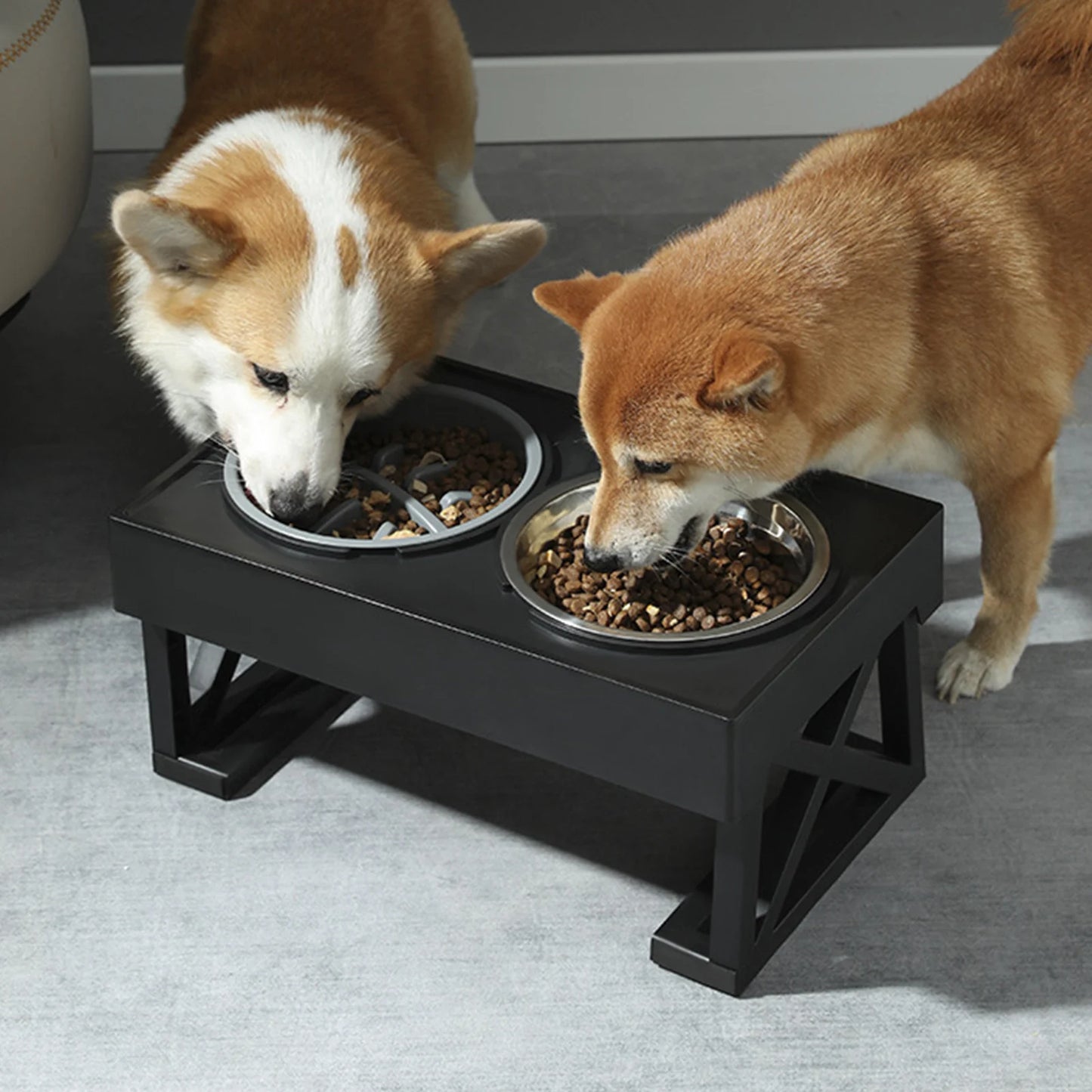 Slow Feeder Dog Bowl NZ | Improve Digestion & Prevent Choking – Safe Slow Eating Accessory – PawNest