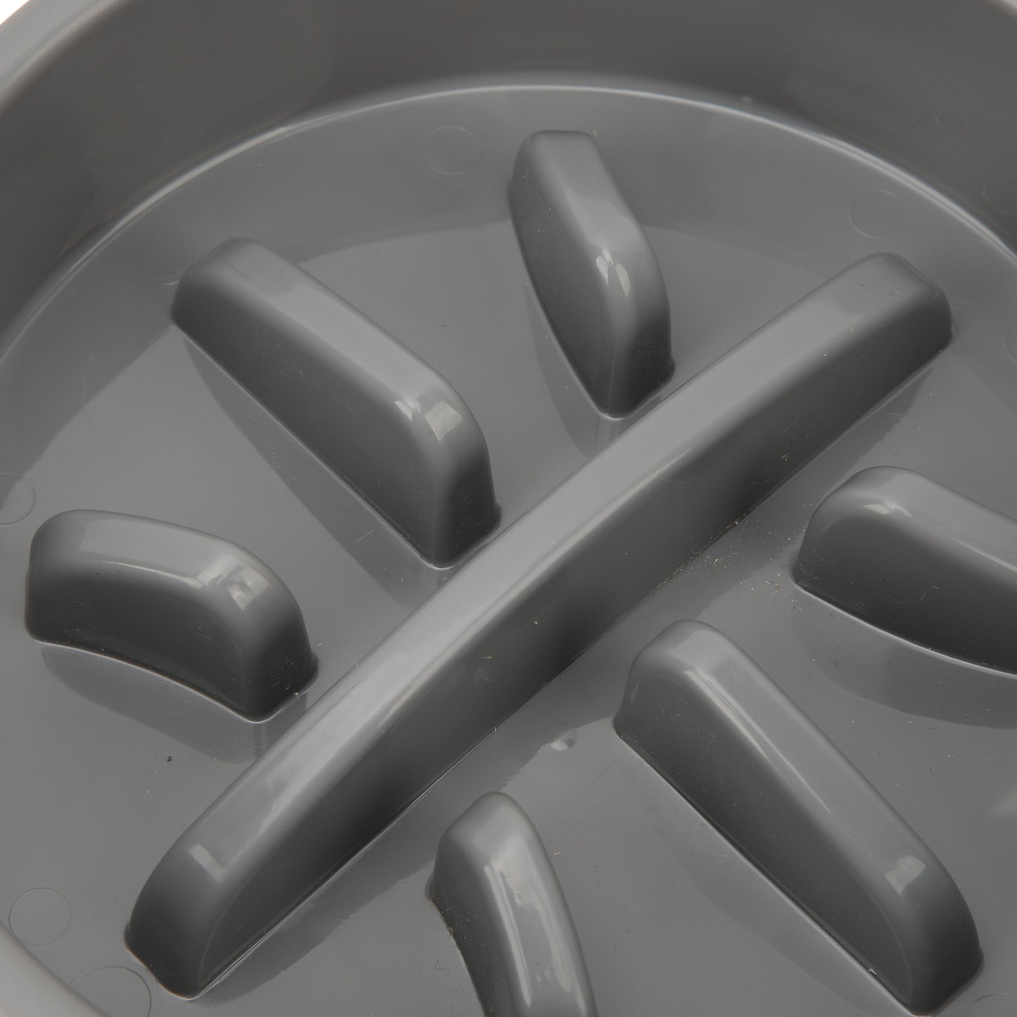 Slow Feeder Dog Bowl NZ | Improve Digestion & Prevent Choking – Safe Slow Eating Accessory – PawNest