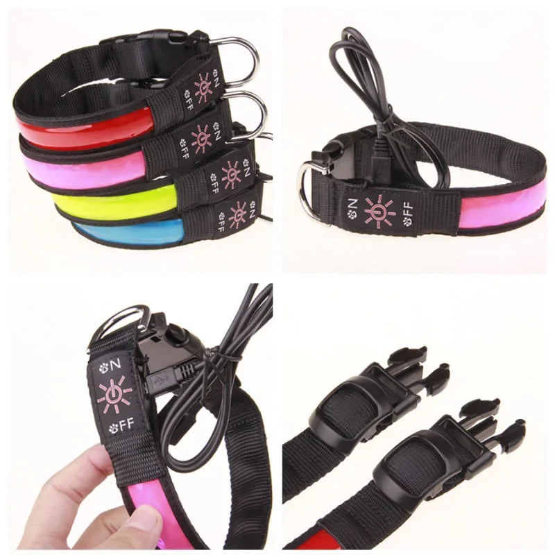 LED Glowing Dog Collar – USB Rechargeable Flashing Light