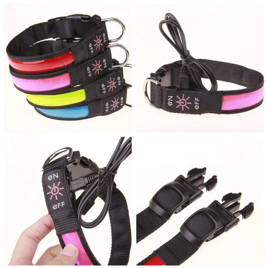 LED Glowing Dog Collar – USB Rechargeable Flashing Light