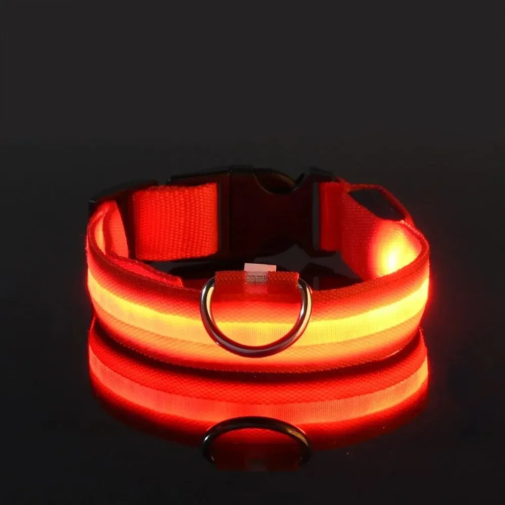 Light Up LED Dog Collar – Safety Flashing Glow Battery Collar