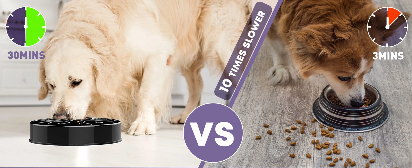 Eco-Friendly Slow Feeder Dog Bowl NZ | Non-Slip, Anti-Gulping Fun Feeding Bowl for All Dog Sizes – PawNest