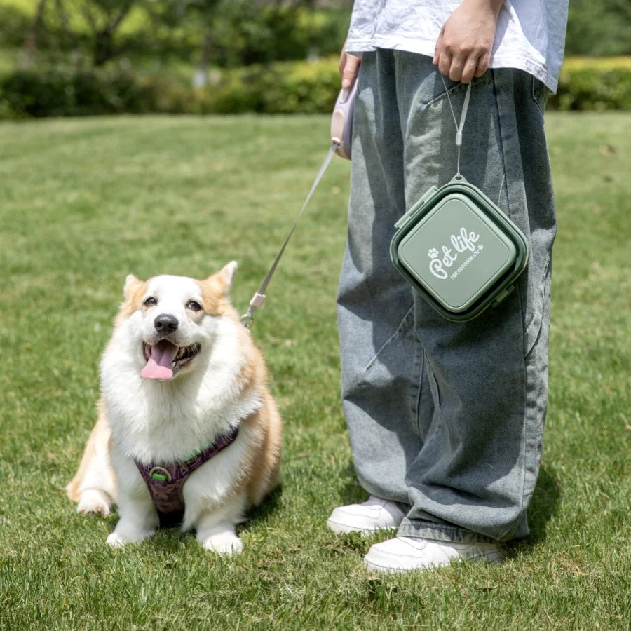 Madden Portable Double-Decker Dog & Cat Travel Bowl – Foldable