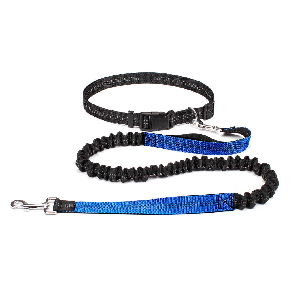Hands-Free Dog Leash NZ | Adjustable Waist Belt & Chest Strap for Running, Walking & Jogging with Pets