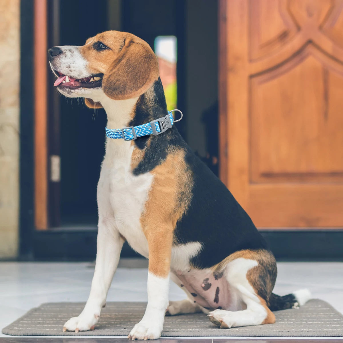 Reflective Adjustable Dog Collar – Anti-Lost Military Design