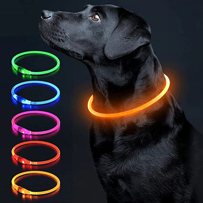 Luminous Dog Collar Light – USB Rechargeable LED Safety Collar