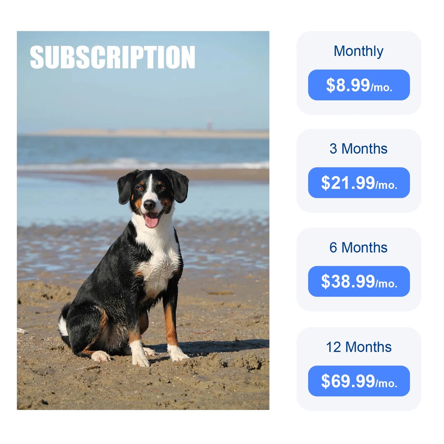 Global Pet Tracker NZ | Waterproof GPS Dog & Cat Tracker with App – Low Service Fee – PawNest